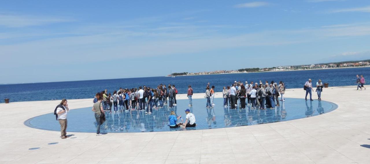 Martina Zadar
